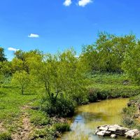Grandview Tract 2 16 Acres Only 15K Down images 3