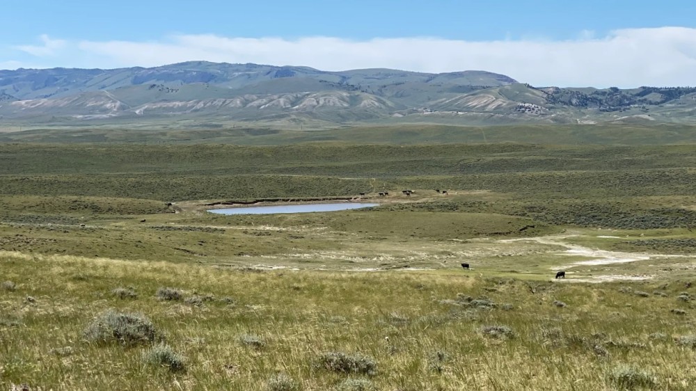 Ervay Basin Ranch featured image