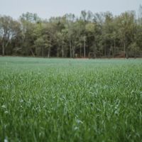 4616 Elkhead Road Bland MO images 4