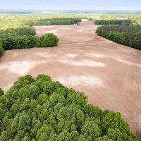 71 acres of Farm and Timber Land For Sale in Isle of Wight County VA images 2