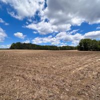 71 acres of Farm and Timber Land For Sale in Isle of Wight County VA images 3