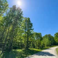 6.75 acre Wooded Homesite Lot For Sale in Caswell County NC images 4