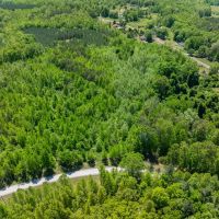 6.75 acre Wooded Homesite Lot For Sale in Caswell County NC images 5