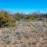 Lake Alan Henry 157 Ranch images 5