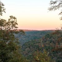 Expansive 500 Acres in Newton County Arkansas near Jasper images 5
