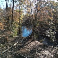 Hunting Land for Sale on the Pearl River images 3