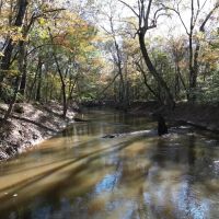 Hunting Land for Sale on the Pearl River images 4