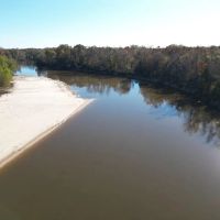Hunting Land for Sale on the Pearl River images 5