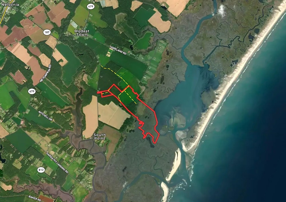 195 acres of Farm and Timber Land For Sale in Accomack County VA featured image