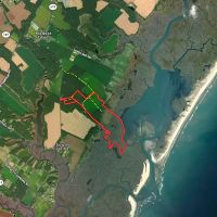 195 acres of Farm and Timber Land For Sale in Accomack County VA