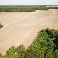 195 acres of Farm and Timber Land For Sale in Accomack County VA images 2
