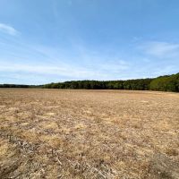 195 acres of Farm and Timber Land For Sale in Accomack County VA images 5