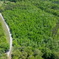 6.18 acre Secluded Homesite Lot For Sale in Caswell County NC images 2