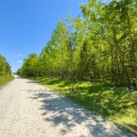 6.18 acre Secluded Homesite Lot For Sale in Caswell County NC images 4