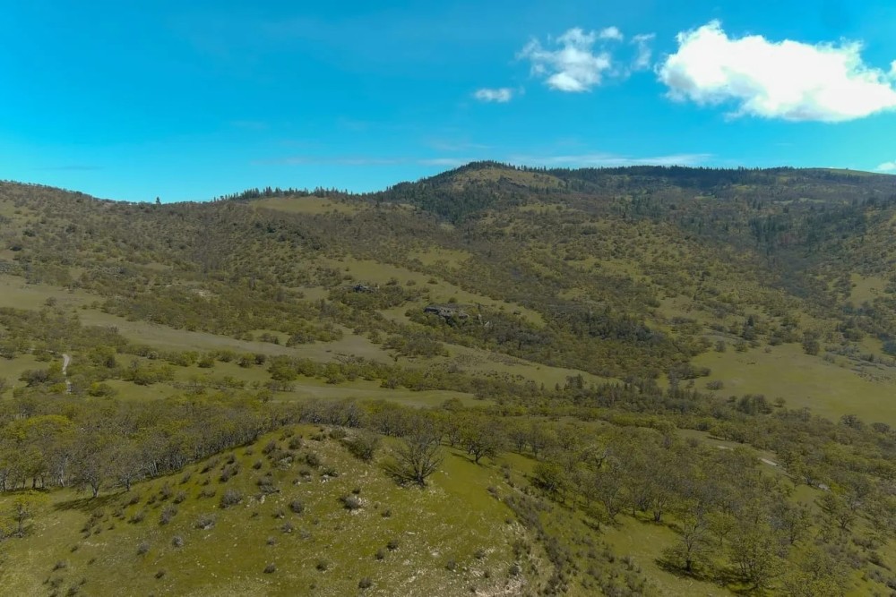 Tombstone Ranch featured image