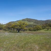 Tombstone Ranch images 2
