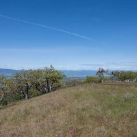 Tombstone Ranch images 5