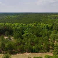 30.06 acres of Residential and Recreational Timber Land For Sale in Harnett County NC images 2