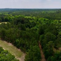 30.06 acres of Residential and Recreational Timber Land For Sale in Harnett County NC images 3