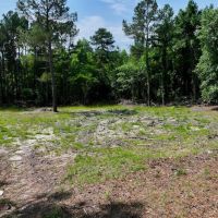 30.06 acres of Residential and Recreational Timber Land For Sale in Harnett County NC images 4