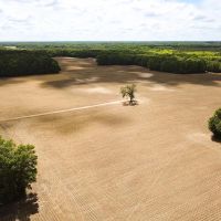 30 acres of Farm Land for Sale in Isle of Wight County VA images 2