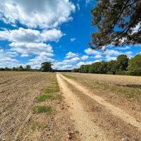 30 acres of Farm Land for Sale in Isle of Wight County VA images 3