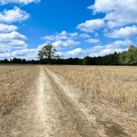 30 acres of Farm Land for Sale in Isle of Wight County VA images 5