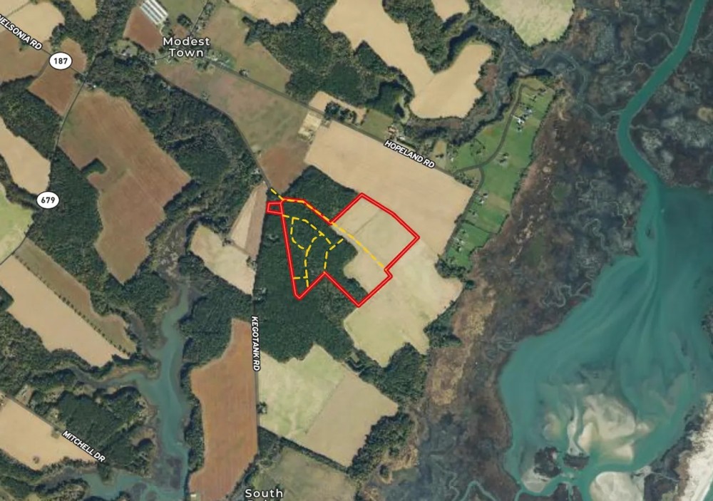 93 acres of Farm and Timber Land for Sale in Accomack County VA featured image