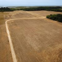 93 acres of Farm and Timber Land for Sale in Accomack County VA images 2