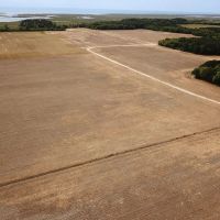 93 acres of Farm and Timber Land for Sale in Accomack County VA images 5