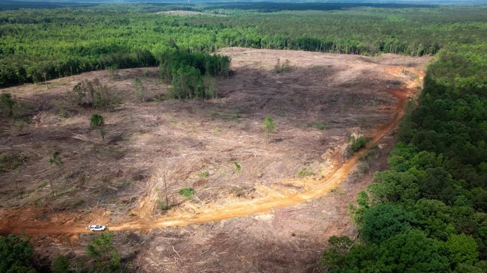 Monroe County - 60 Acres - Athens Quincy Road featured image