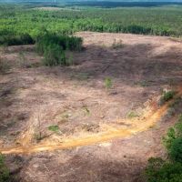 Monroe County - 60 Acres - Athens Quincy Road