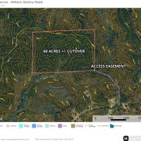 Monroe County - 60 Acres - Athens Quincy Road images 2