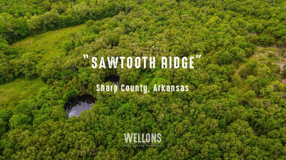 Sawtooth Ridge featured image