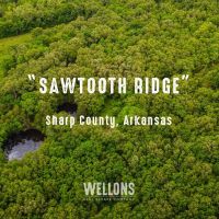 Sawtooth Ridge