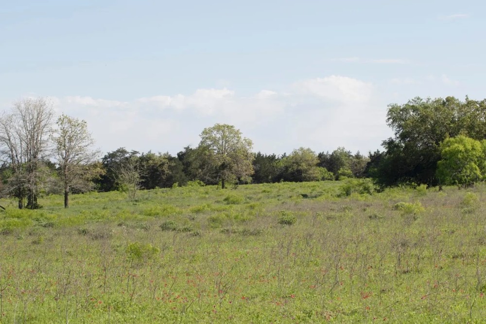 Tract 5 Hunt Lane in Flatonia featured image