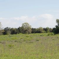 Tract 5 Hunt Lane in Flatonia