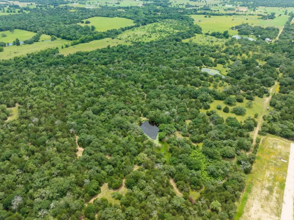 Secluded 60-Acre Sanctuary with Unparalleled Access to Nature and Convenience featured image