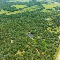 Secluded 60-Acre Sanctuary with Unparalleled Access to Nature and Convenience