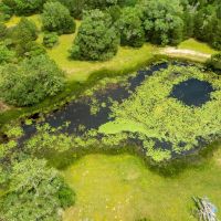 Secluded 60-Acre Sanctuary with Unparalleled Access to Nature and Convenience images 2