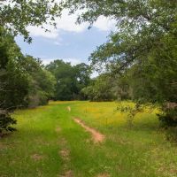 Secluded 60-Acre Sanctuary with Unparalleled Access to Nature and Convenience images 3
