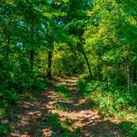 Ennis Lake images 2