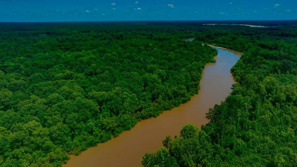 Ennis Lake featured image