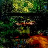 Ennis Lake images 3