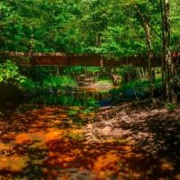 Ennis Lake images 4