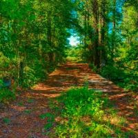 Ennis Lake images 5