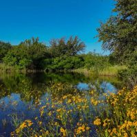 Alphin Retreat images 3
