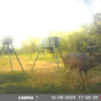 Alphin Retreat images 4