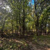 Alphin Retreat images 5