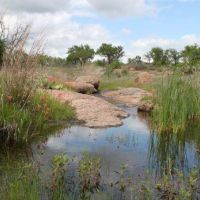 Mason Mountain - 5300 acre Dove hunting area in Mason, TX